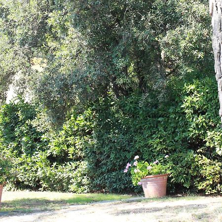 Villetta La Pineta Latignano 外观 照片