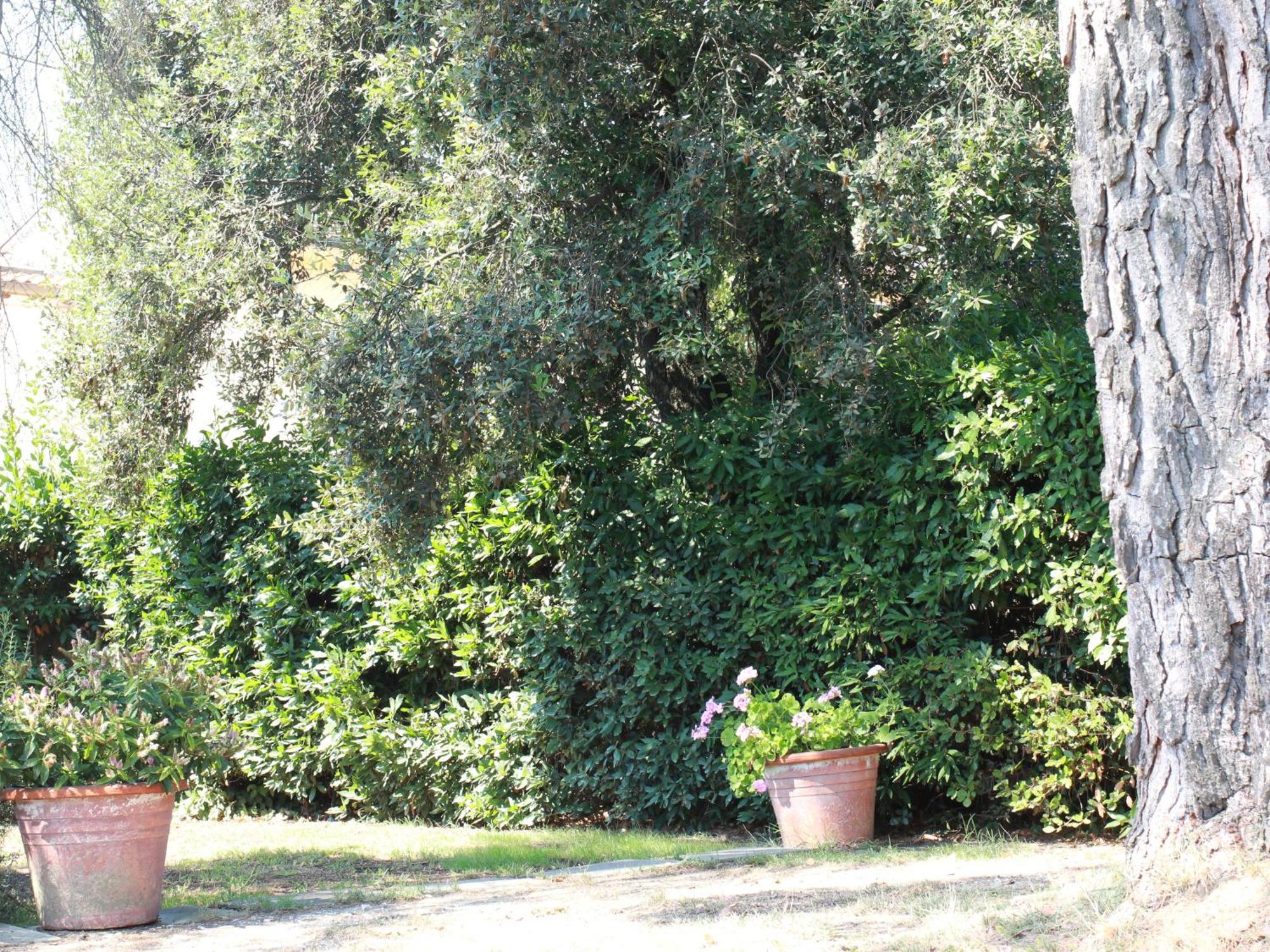 Villetta La Pineta Latignano 外观 照片