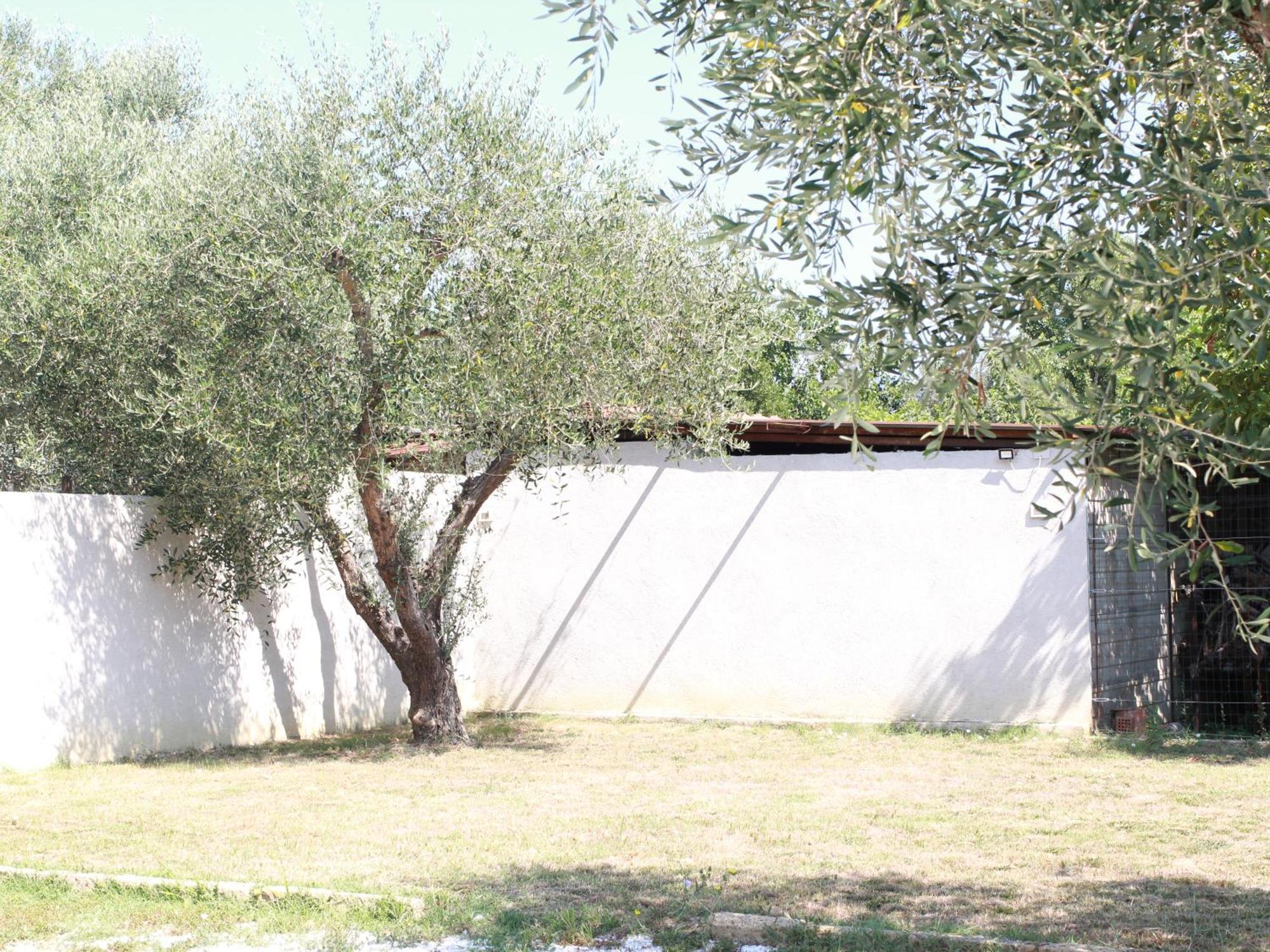 Villetta La Pineta Latignano 外观 照片