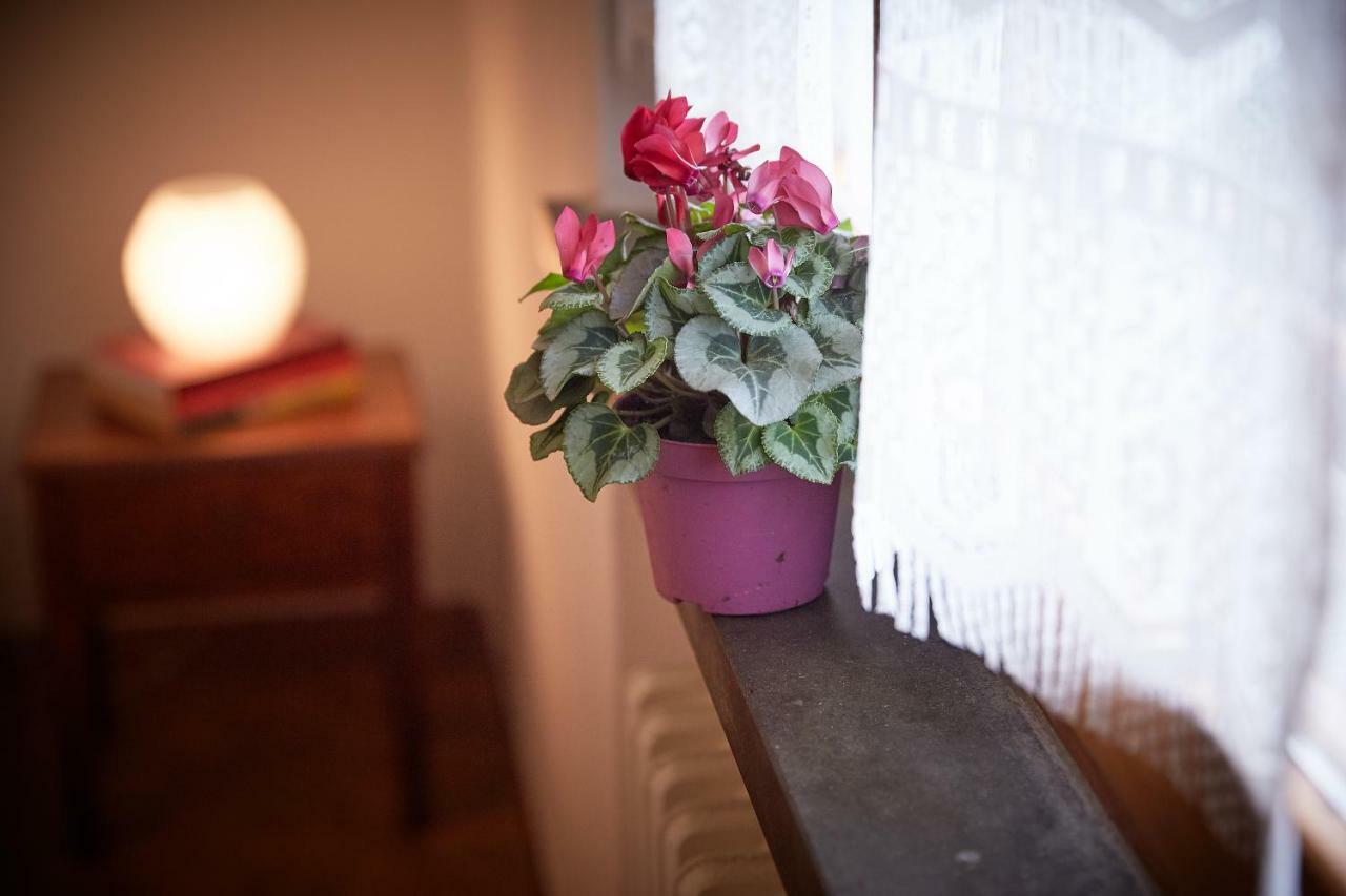 Villetta La Pineta Latignano 外观 照片